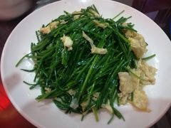 -范记靖远羊羔肉(博物馆店)