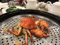 -凤城酒家(红磡店)
