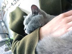 -JC·YOGA静禅瑜伽普拉提