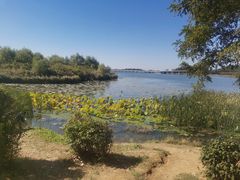 -丁香湖公园