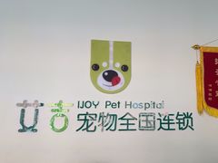 -艾吉宠物医院·疑难杂症转诊中心·猫友好(碧江路院)