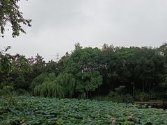 -八卦田遗址公园