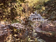 -大屏嶂森林公园