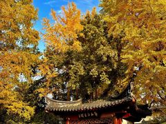-郑和公园