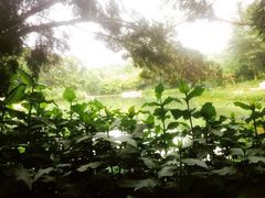 -北京宽沟会议中心