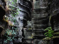 -梭布垭石林景区