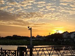 -七的湖·晚芳亭·阳澄湖农家菜·大闸蟹(莲花岛店)