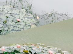 -艾溪湖湿地公园