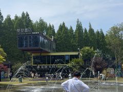 -黄海国家森林公园