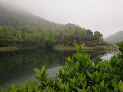 -桃花岭景区