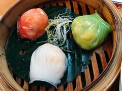 -点都德·毕德寮