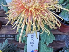 -北京植物园南门售票处