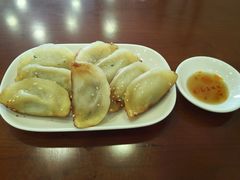 鲜肉锅贴-小姜锅贴(凤凰街店)