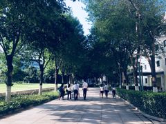 -北京国家会计学院