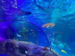 -沈阳海洋探索中心