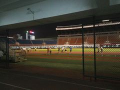 -福建省奥林匹克体育中心-体育馆