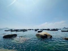 -海源公园