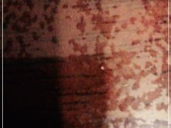 -Hi City·城市之巅