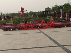 -曹州牡丹园