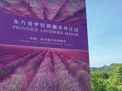 -北京东方普罗旺斯薰衣草庄园