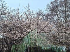 -堤角公园