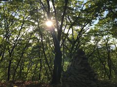 -帽儿山国家森林公园