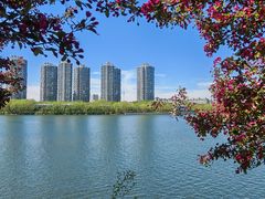 -长白岛森林公园