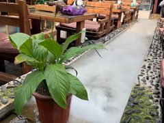 露天位-丽江庭院之爱在路上(西单店)