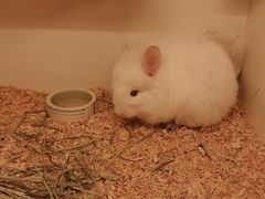 -龙猫仔乐园(惠福东路店)