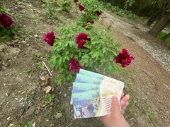 -昆山城市生态森林公园