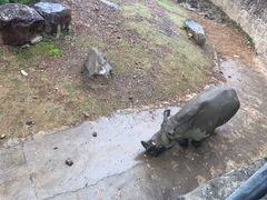 -无锡动物园·太湖欢乐园
