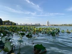 -金陵之星大酒店·中餐厅