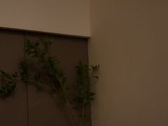 -小仙女采耳·按摩·SPA(深圳旗舰店)