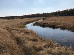 -塞罕坝国家级自然保护区