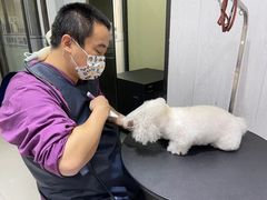 -宠颐生动物医院·小陆分院