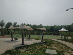 -天津东丽湖风景区