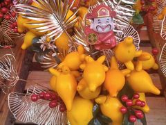 -越秀西湖花市(广州城市广场花卉店)