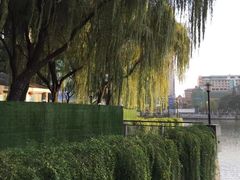 -西北湖绿化广场