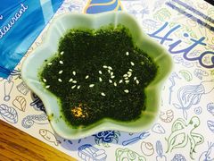 -海桐