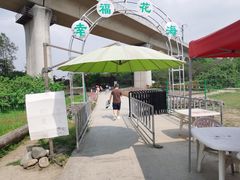 -秀丽东方