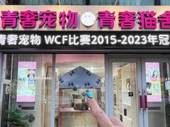 -青奢宠物·青奢猫舍