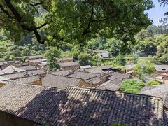 -杨家堂村