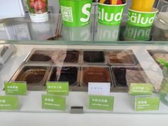 -Salud撒露欧洲冻酸奶(蓝色港湾店)