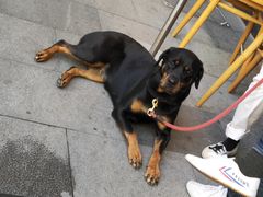 -RAC BAR(安福路店)