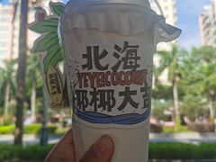 椰岛海盐冰茶-椰椰大吉(海城店)