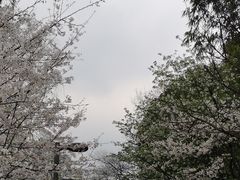 -百林公园-两江幸福广场