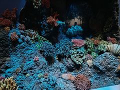 -中国湿地博物馆