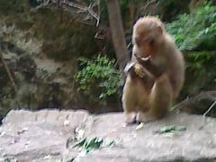 -百里峡七彩艺术小镇