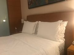 -北京望京华彩智选假日酒店