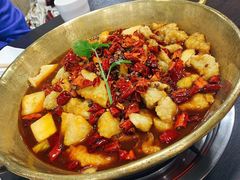 炝锅龙利鱼-涿派·炝锅鱼(涿州店)